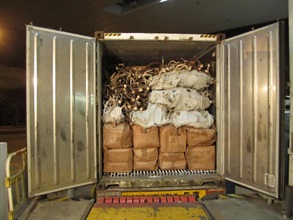 香港海關在一輛出境貨櫃車的冷凍貨櫃中發現一批未列艙單貨物。