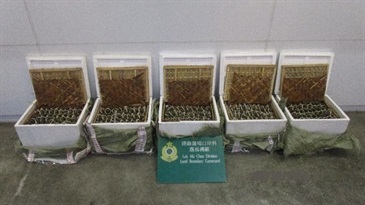 The Customs and Excise Department and the Food and Environmental Hygiene Department seized 446 suspected smuggled hairy crabs with an estimated market value of about $9,000 at the Lok Ma Chau Control Point during a joint operation on October 2. This is the first major seizure of suspected smuggled hairy crabs made this year.