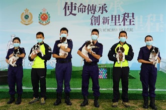 香港海關與消防處首次合作進行繁育犬隻計劃，於今年二月十二日（即農曆大年初一）成功繁殖六隻史賓格跳犬。圖示六隻幼犬Farris、Uma、Taco、Umi、Raisa和Effie（由左至右）與海關搜查犬隊和消防處搜救犬隊人員合照。