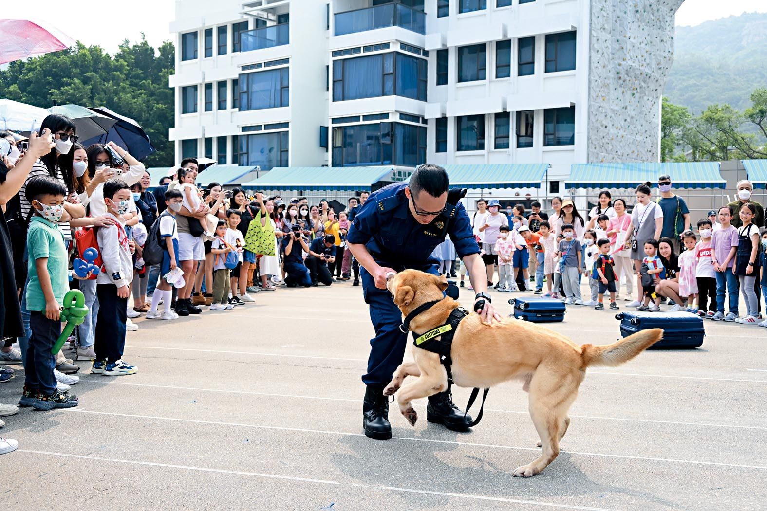 入場人士觀賞海關搜查犬示範。 