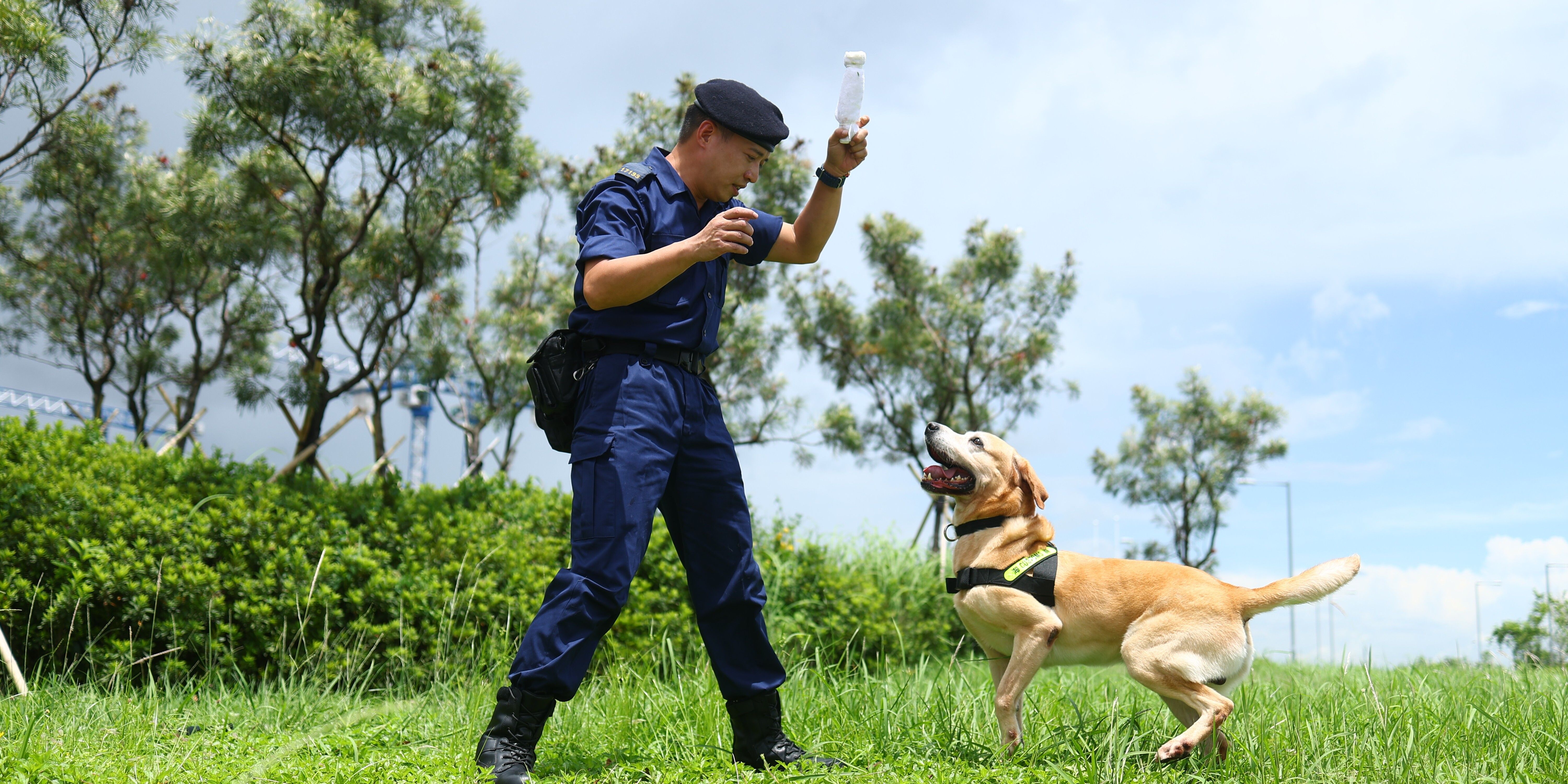 設立「地區犬隻訓練中心」提升領犬搜查執法效能