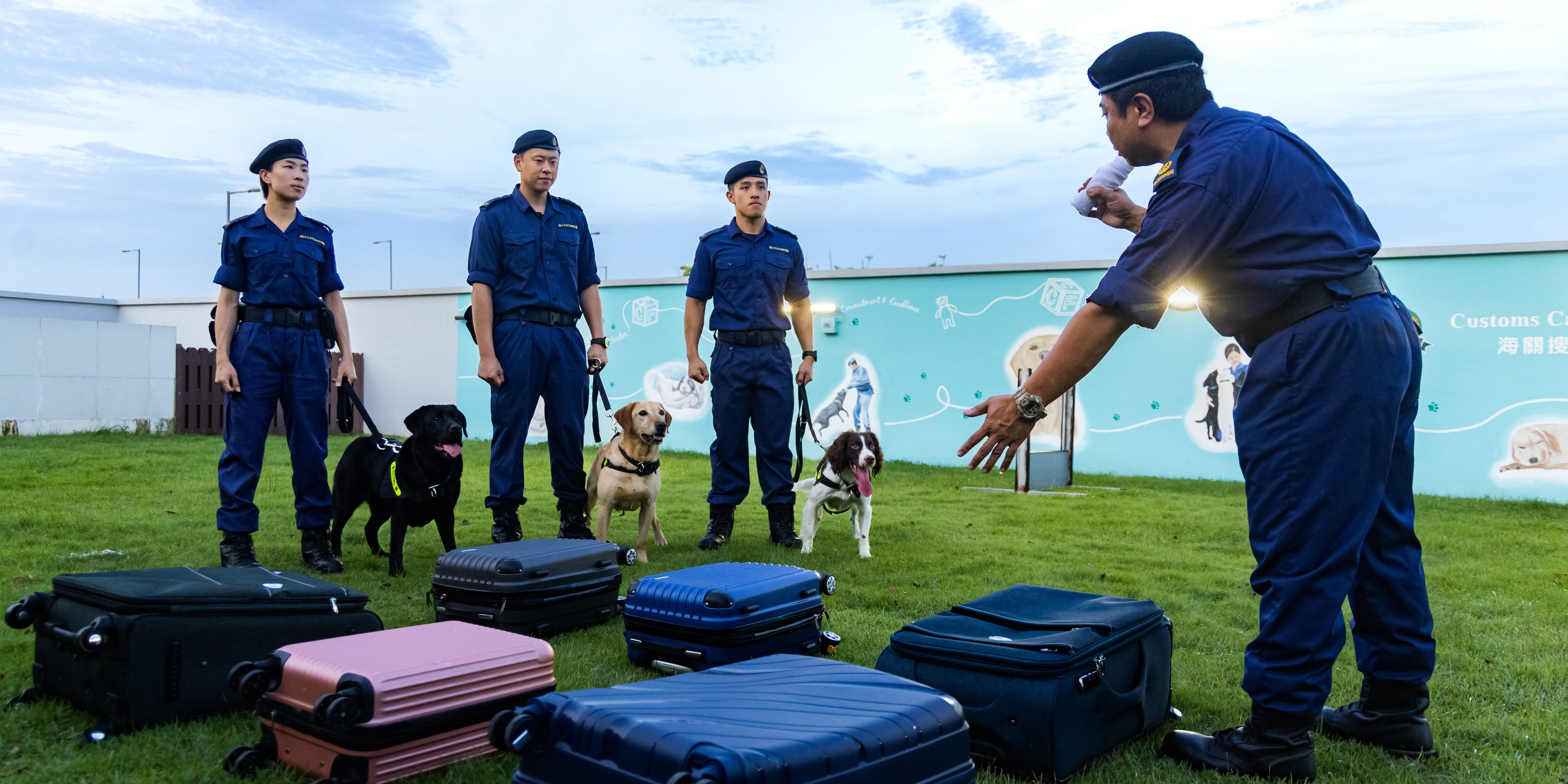 HK Customs Establishes Regional Dog Training Centre to Strengthen Canine Enforcement