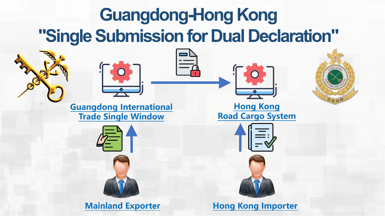 Single Submission for Dual Declaration (Eng).png