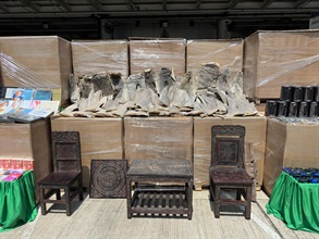 Hong Kong Customs on May 7 detected a suspected case of using an ocean-going vessel to smuggle goods to Taiwan at the Kwai Chung Container Terminals. A large batch of unmanifested goods, including suspected scheduled dried shark fins and skins, suspected scheduled wood furniture, electronic components and electronic products, with an estimated market value of about $160 million was seized inside two containers. Photo shows some of the suspected scheduled dried shark fins and skins and suspected scheduled wood furniture seized.