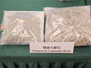 Hong Kong Customs conducted an anti-narcotics operation codenamed "Sniper II" between January 1 and May 16 to combat syndicates smuggling drugs by using consolidated consignments. During the operation, Customs detected 14 cases and seized about 20 kilograms of suspected dangerous drugs, including about 8.5kg of suspected ketamine, about 5.2kg of suspected cannabis-type dangerous drugs, about 4kg of suspected methamphetamine and about 2kg of suspected cocaine. The total estimated market value of the seizures was about $9.1 million. Photo shows the suspected cannabis buds seized.