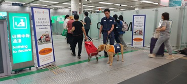 Hong Kong Customs and the Centre for Food Safety (CFS) of the Food and Environmental Hygiene Department stepped up enforcement from June 18 to 21 at various land boundary control points to crack down on inbound travellers illegally bringing regulated food into Hong Kong. Photo shows a CFS officer and a quarantine detector dog carrying out duties at the Shenzhen Bay Boundary Control Point.