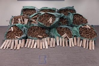 Hong Kong Customs, on September 25, detected a smuggling case of suspected scheduled agarwood at the Tuen Mun River Trade Terminal and seized about 1 tonne of suspected scheduled agarwood with an estimated market value of about $18 million. Photo shows the suspected scheduled agarwood seized.