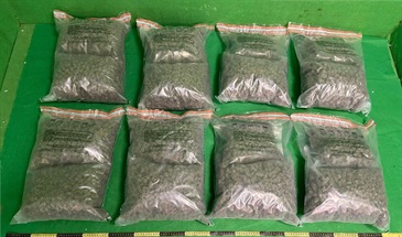 Hong Kong Customs yesterday (October 16) detected a drug trafficking case involving baggage concealment at Hong Kong International Airport and seized about 14.4 kilograms of suspected cannabis buds with an estimated market value of about $3.9 million. Photo shows the suspected cannabis buds seized.