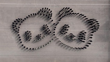 Hong Kong Customs held the Passing-out Parade. Photo shows the parade forming the pattern of giant panda twins.